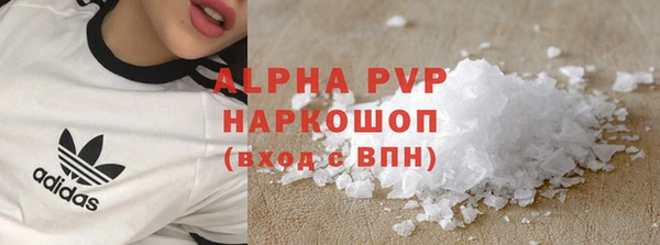 прущие грибы Покровск