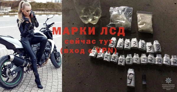 прущие грибы Покровск