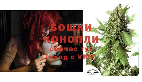 прущие грибы Покровск