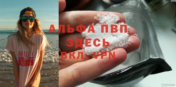 прущие грибы Покровск