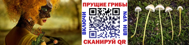 KRAKEN ссылка  купить  сайты  Байкальск  Галлюциногенные грибы ЛСД 